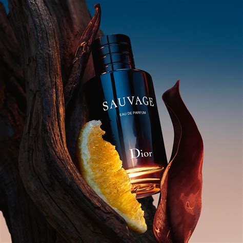 dior epd|sauvage dior.